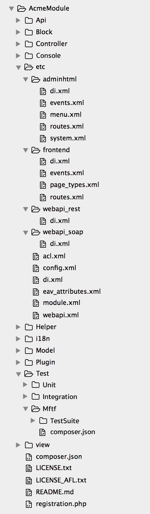 Module File Structure