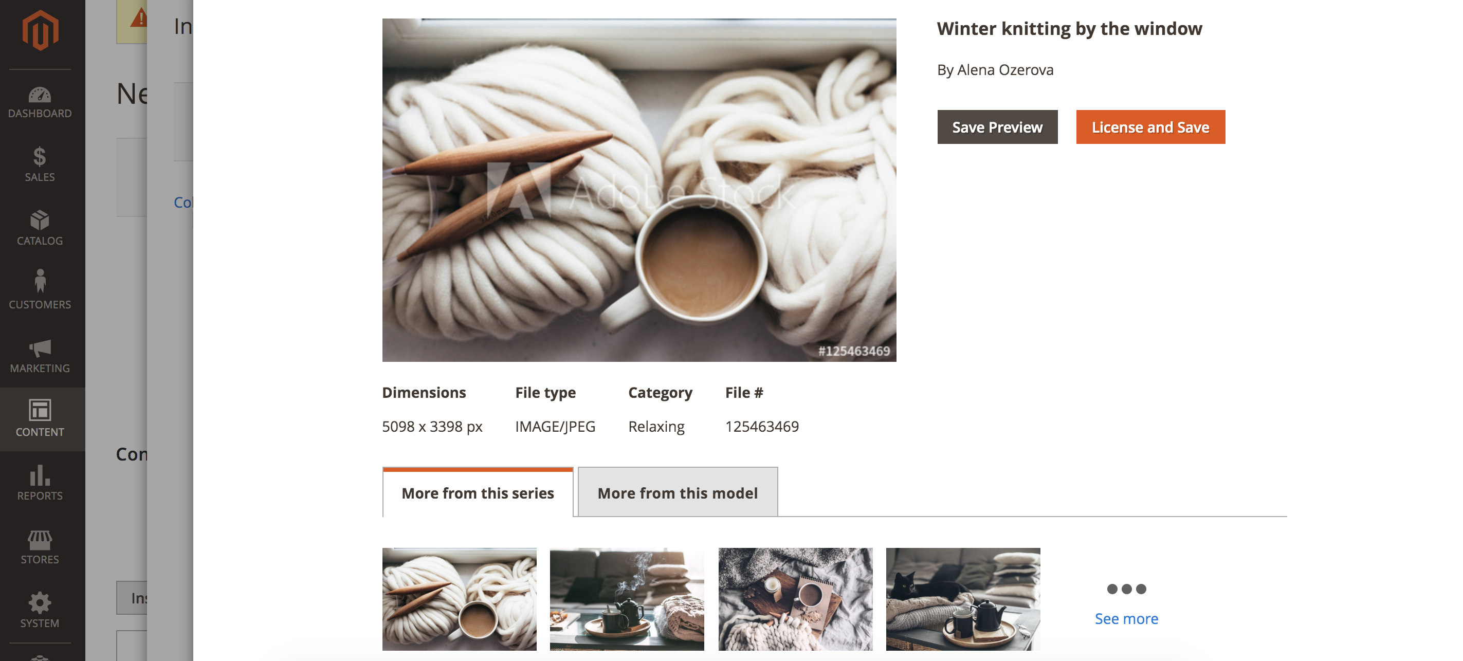 Adobe Stock image details