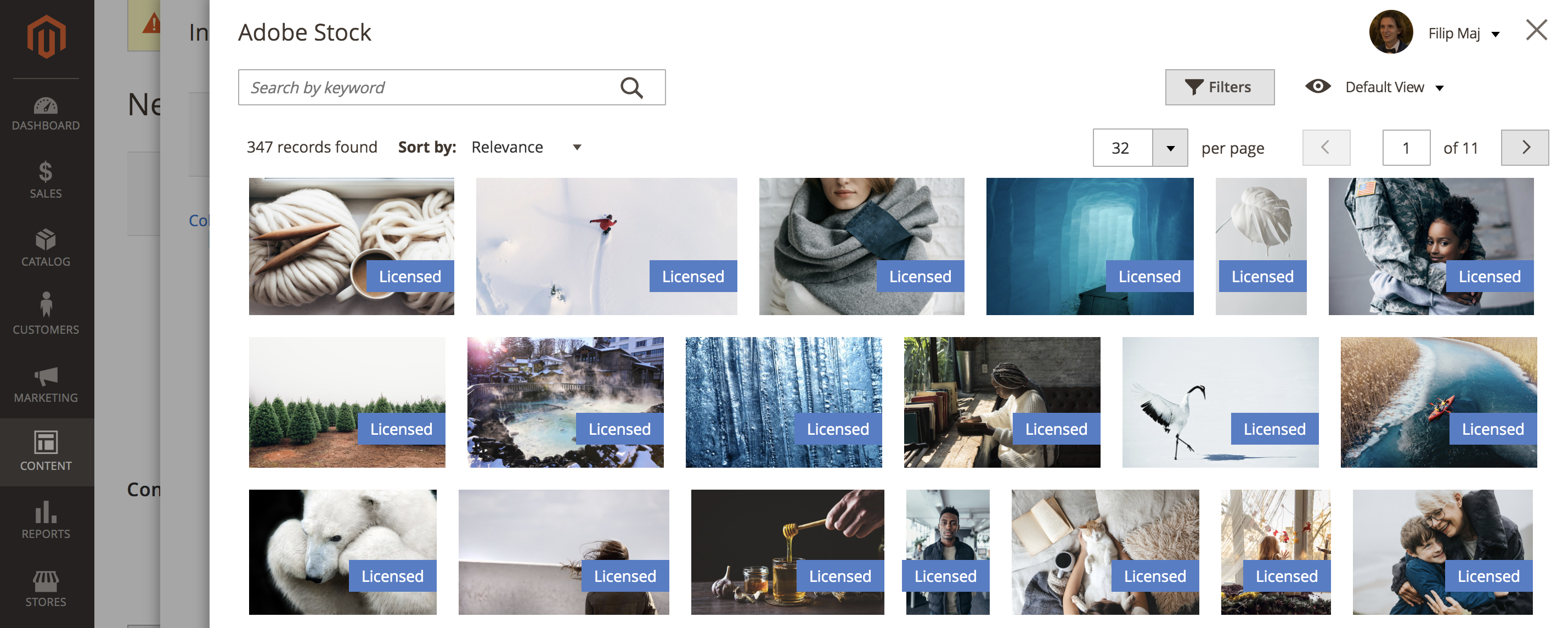 Adobe Stock search results with licensed images