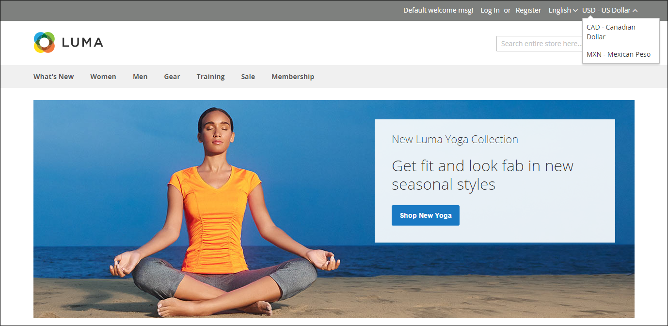 Example storefront - Currency chooser