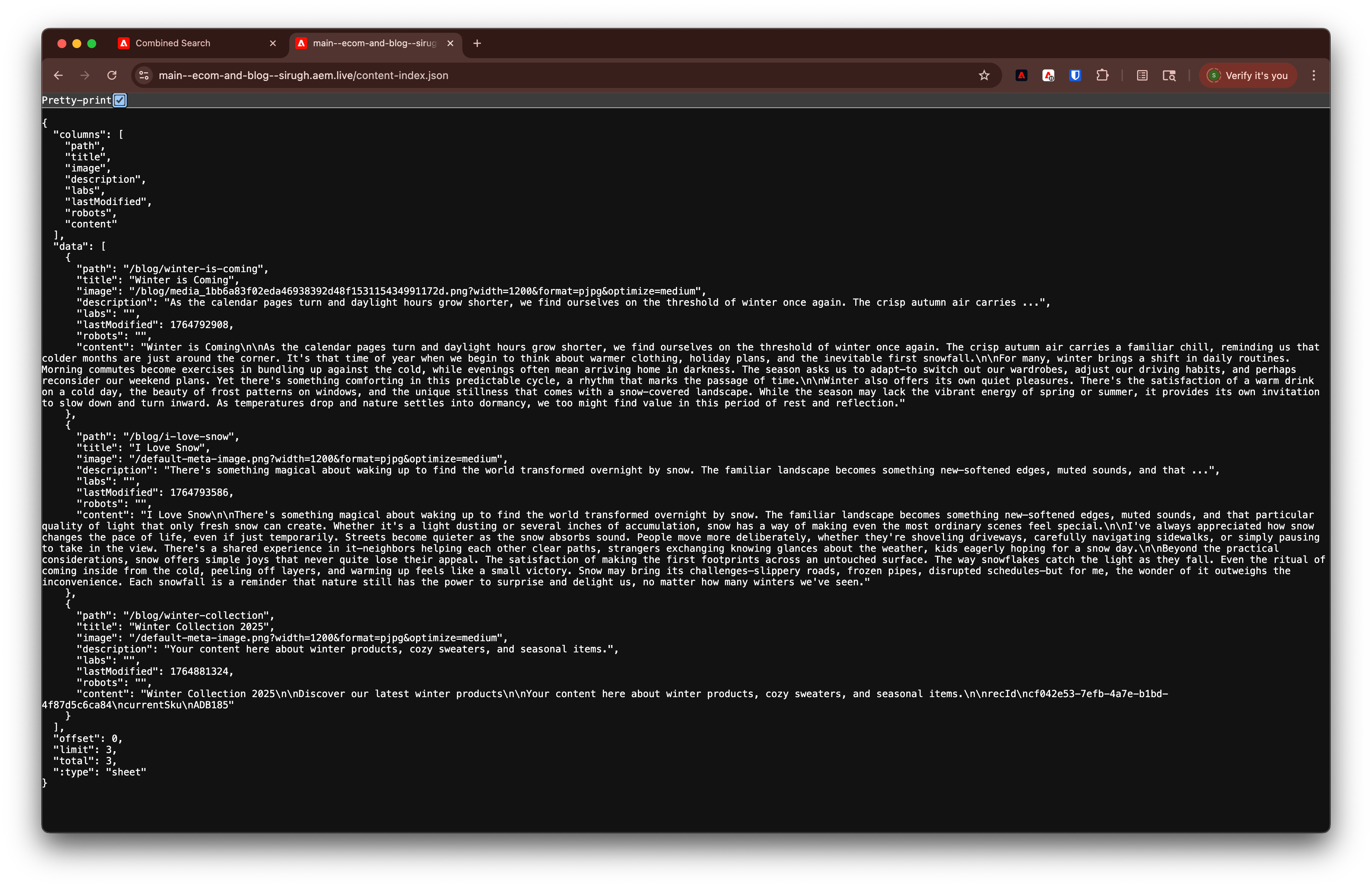 Content index JSON output showing indexed pages with title, description, and content fields